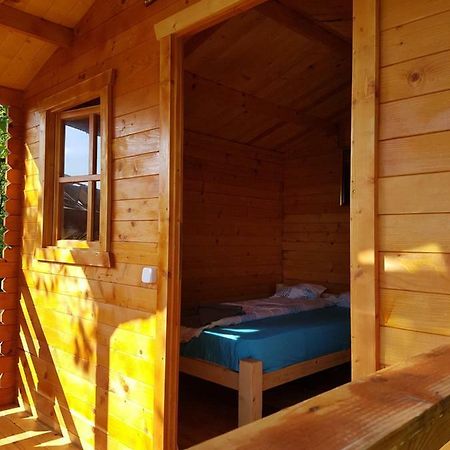 Вилла Retezat Retreat - Wood Cabin Clopotiva Экстерьер фото